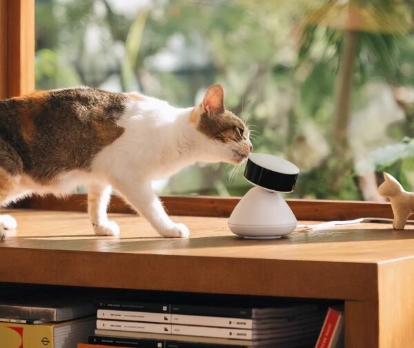Scout Smart Camera