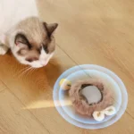 Active Rolling Ball with Tail for Cats - Image 4