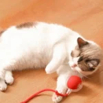 Active Rolling Ball with Tail for Cats - Image 5