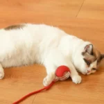 Active Rolling Ball with Tail for Cats - Image 6