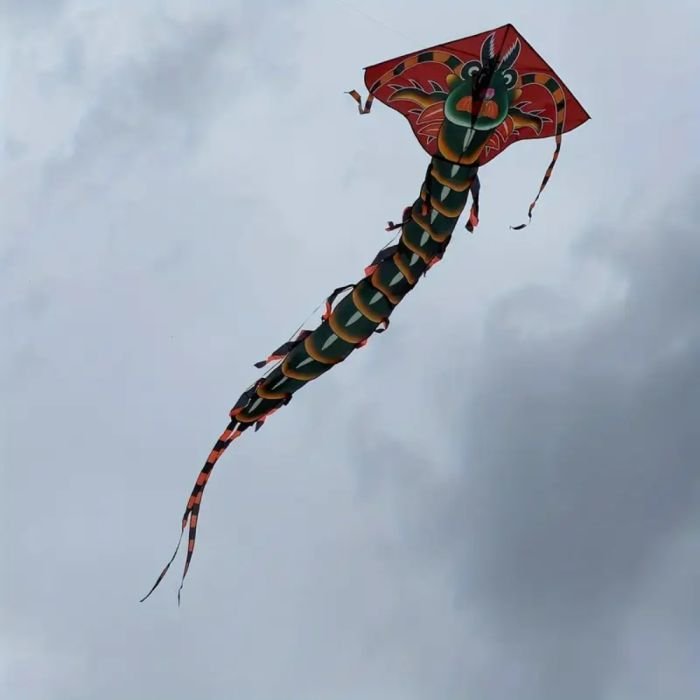 Large Dragon Shaped Kite 570 x 170 cm - Image 5