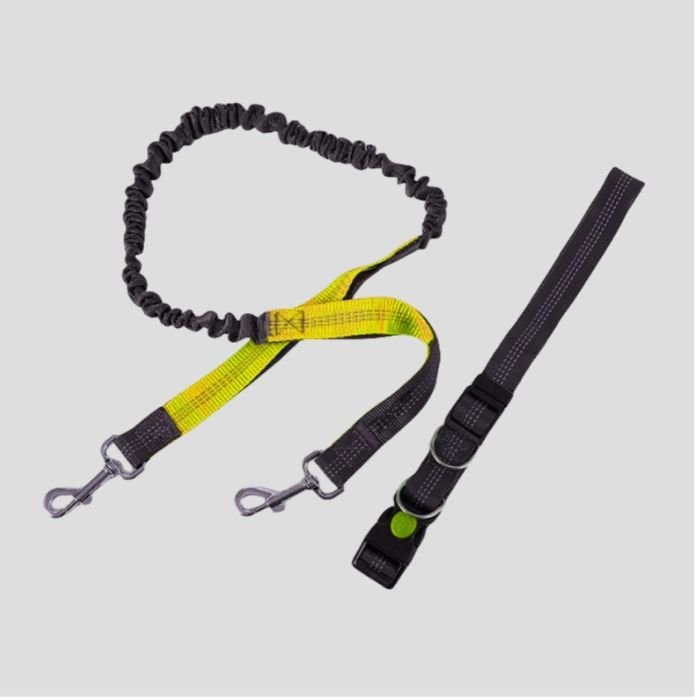 Walking Dog Kit Belt & Anti Shock Leash - Yellow
