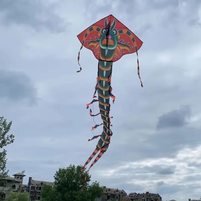 Large Dragon Shaped Kite 570 x 170 cm - Image 4