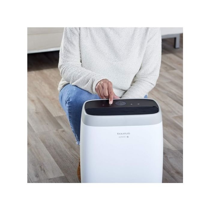 High Landscapes 38W Air Purifier by Taurus - Image 4