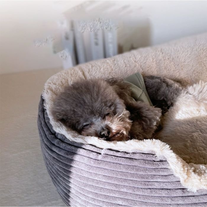 Comfort Pet Bed 80 × 65 × 17 cm - Image 2
