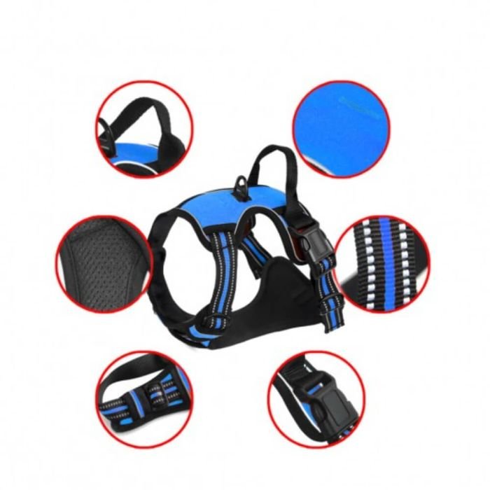 Adjustable Dog Harness - Image 5